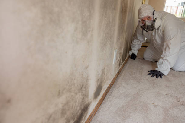 Best Emergency Mold Remediation  in Star, NC